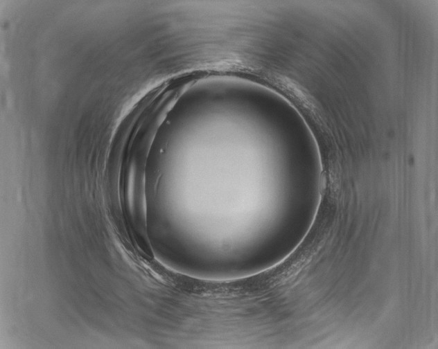 X0000062630532200512211231