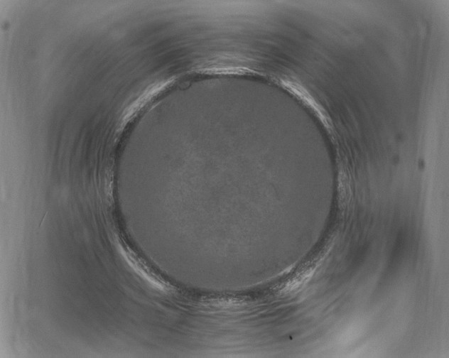 X0000062630533200512211231