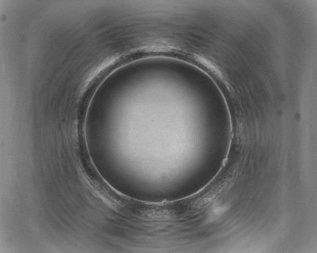 X0000062630535200512211231