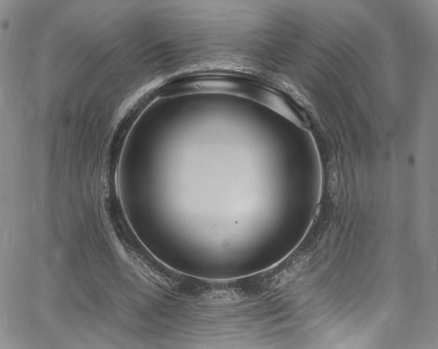 X0000062630536200512211231