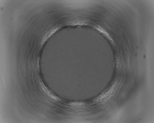 X0000062630537200512211231