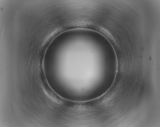 X0000062630538200512211231