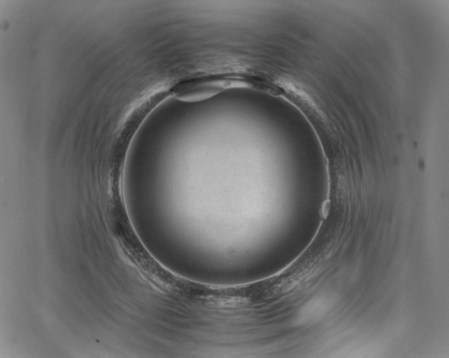 X0000062630539200512211231