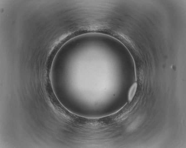 X0000062630540200512211231