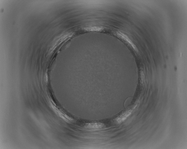 X0000062630541200512211231