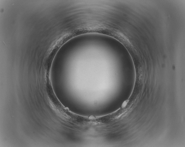 X0000062630542200512211231