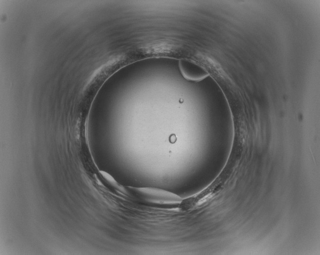 X0000062630543200512211231