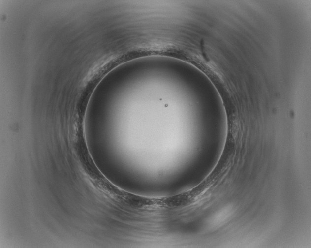 X0000062630544200512211231