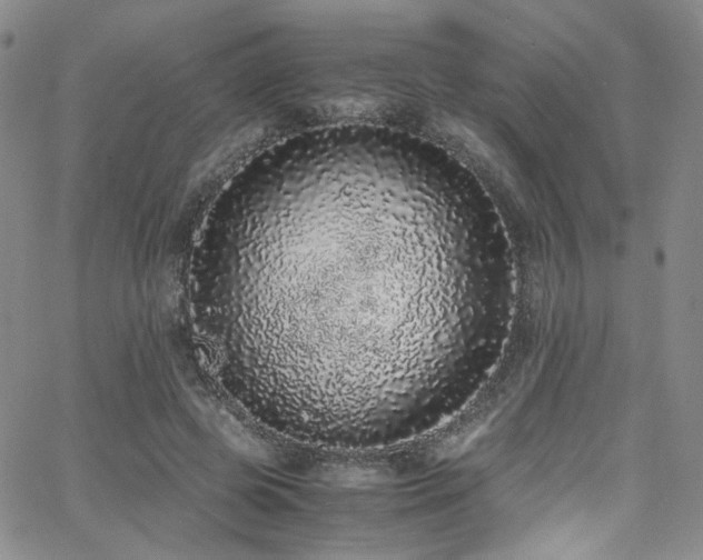 X0000062630545200512211231