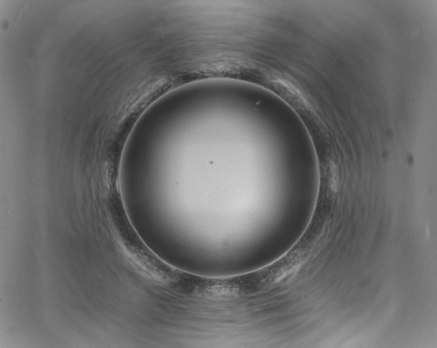 X0000062630546200512211231