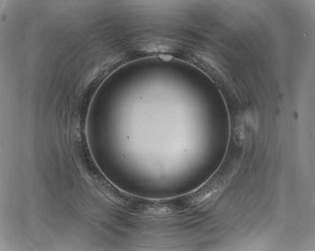 X0000062630547200512211231