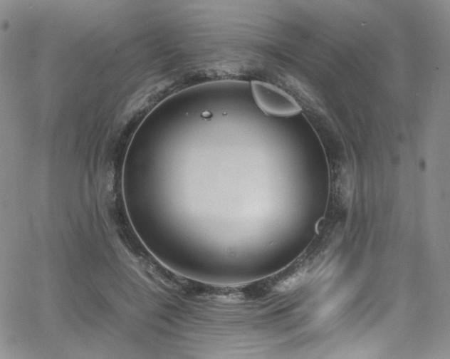 X0000062630548200512211232