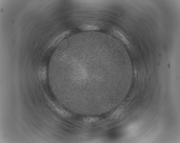 X0000062630549200512211232