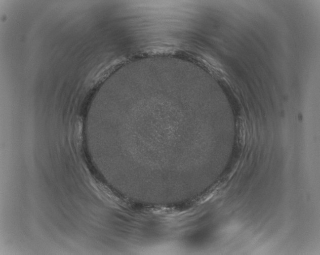 X0000062630550200512211232