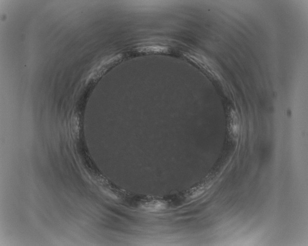 X0000062630551200512211232