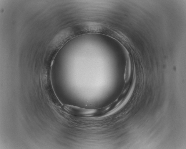 X0000062630552200512211232