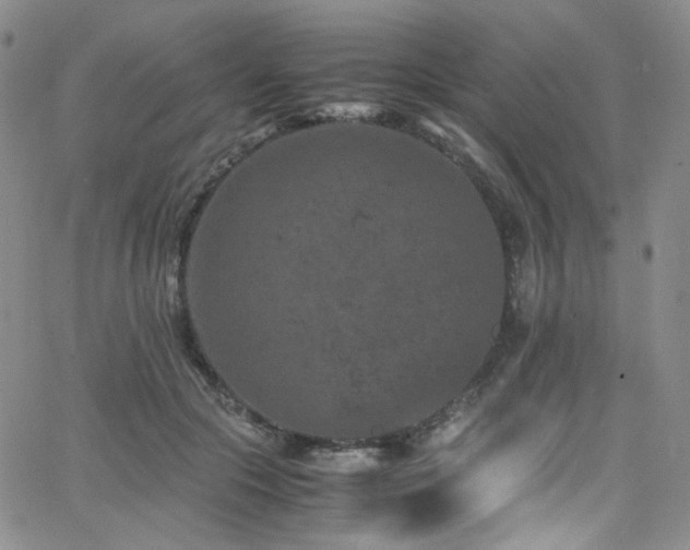 X0000062630553200512211232