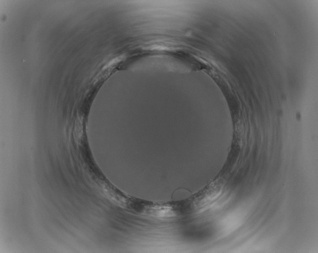 X0000062630554200512211232