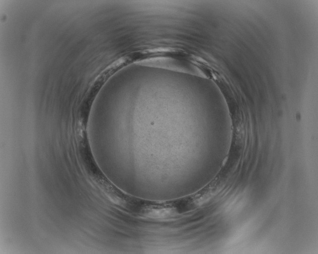 X0000062630555200512211232