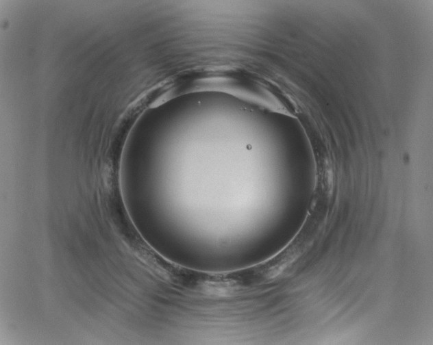 X0000062630556200512211232