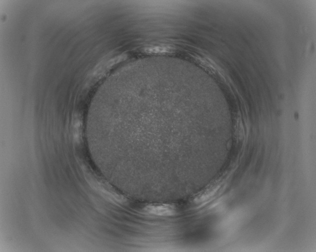 X0000062630557200512211232