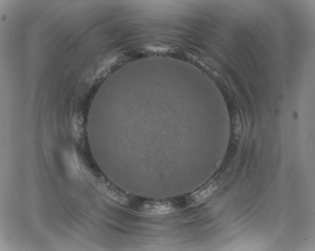 X0000062630559200512211232