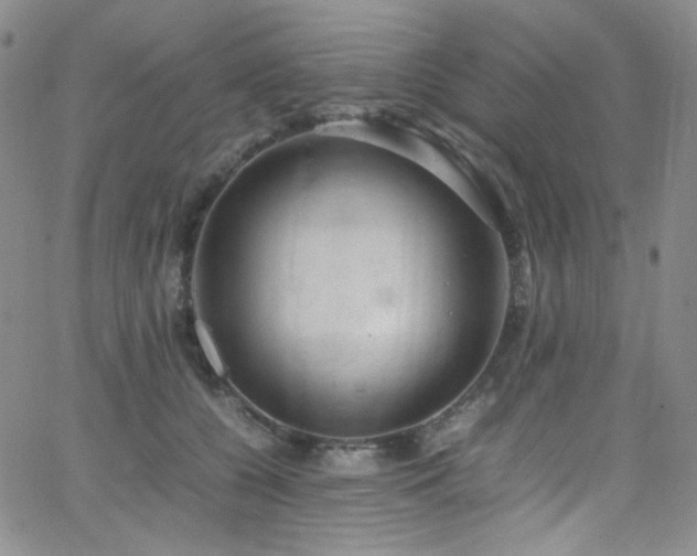 X0000062630560200512211232