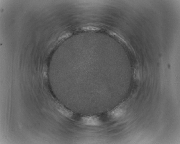 X0000062630561200512211232