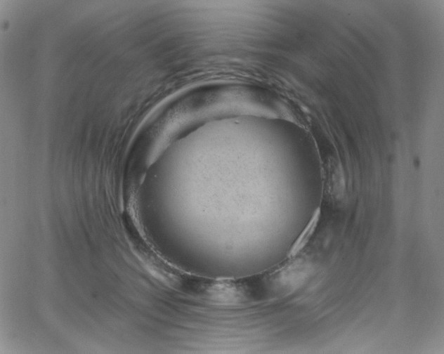 X0000062630562200512211232