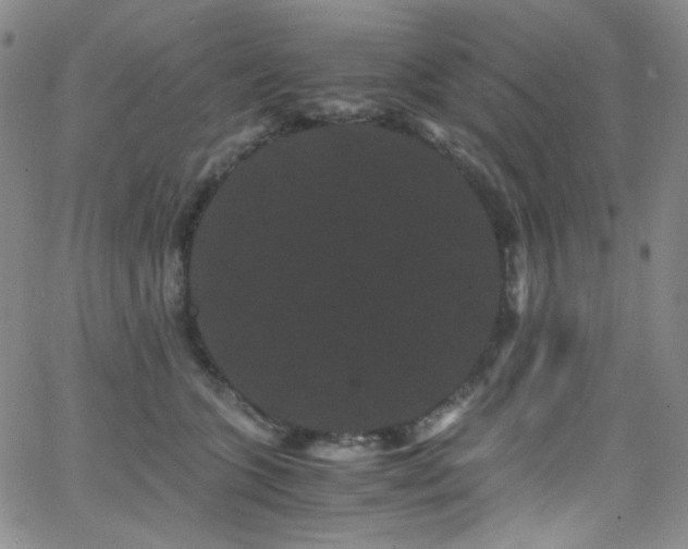 X0000062630563200512211232