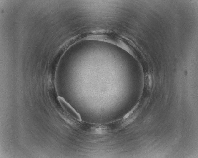 X0000062630564200512211232