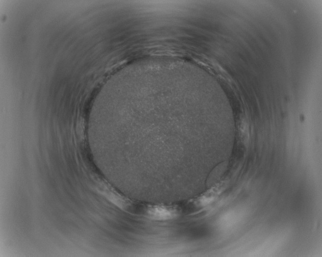 X0000062630565200512211232