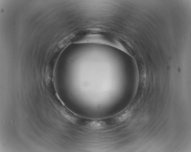 X0000062630566200512211232