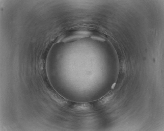 X0000062630567200512211232