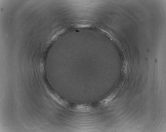 X0000062630568200512211232