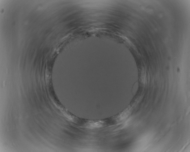 X0000062630569200512211232