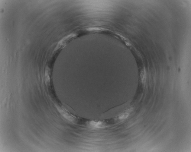 X0000062630570200512211232