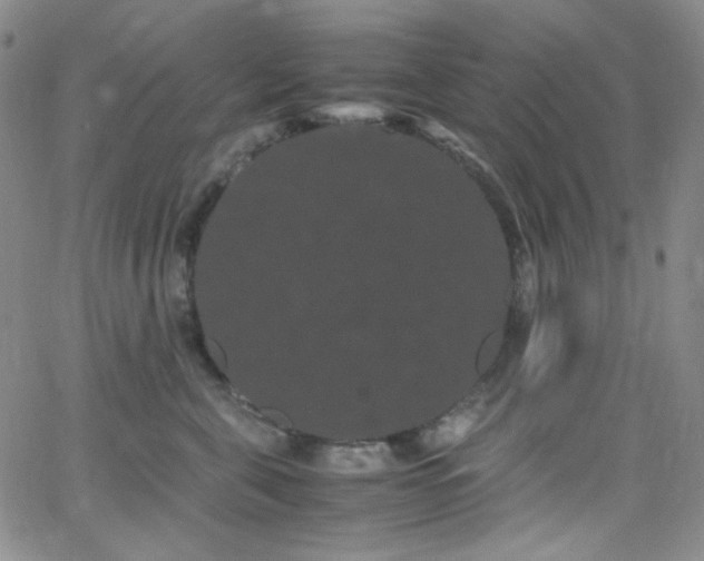 X0000062630571200512211232