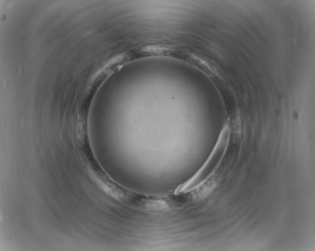 X0000062630572200512211232