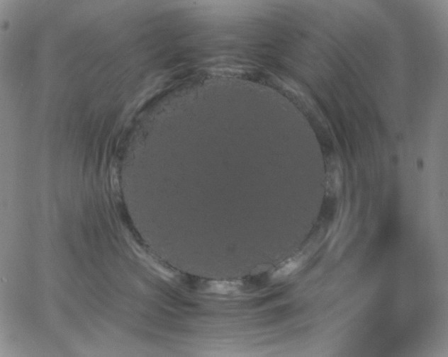 X0000062630573200512211232