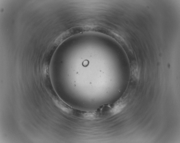 X0000062630574200512211232