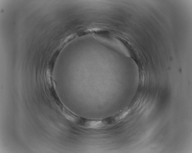 X0000062630575200512211232