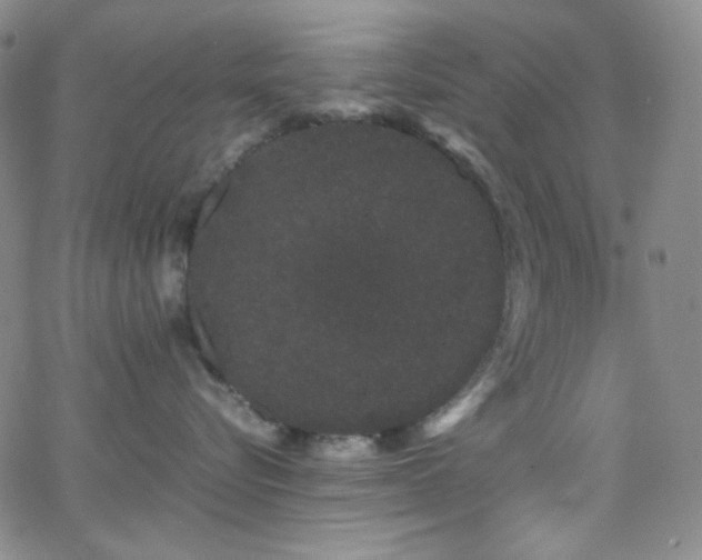 X0000062630576200512211232