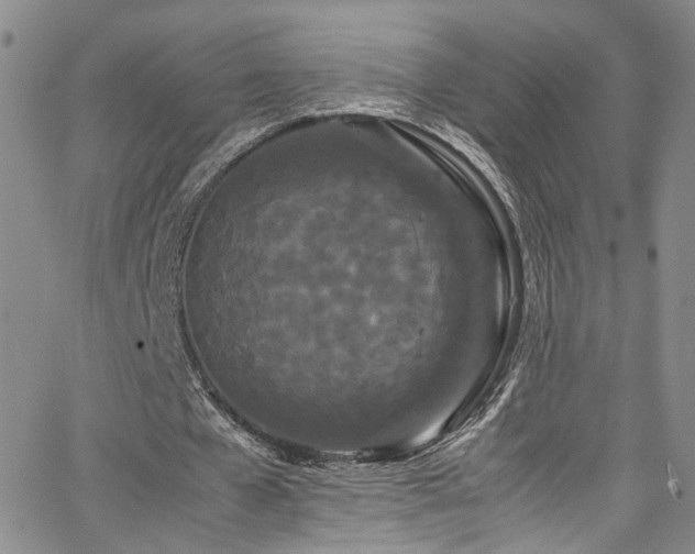 X0000062630577200512211231