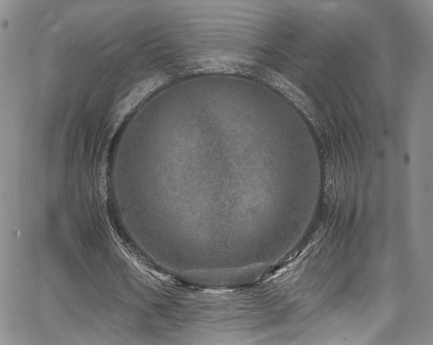 X0000062630578200512211231