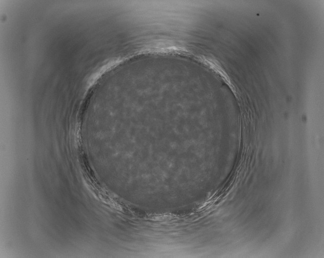 X0000062630579200512211231