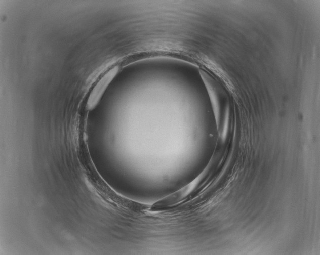 X0000062630580200512211231