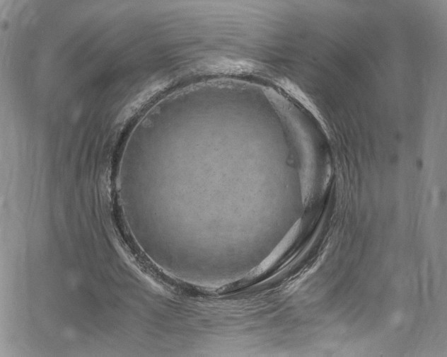 X0000062630581200512211231