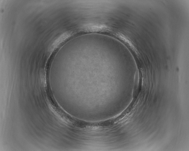 X0000062630582200512211231