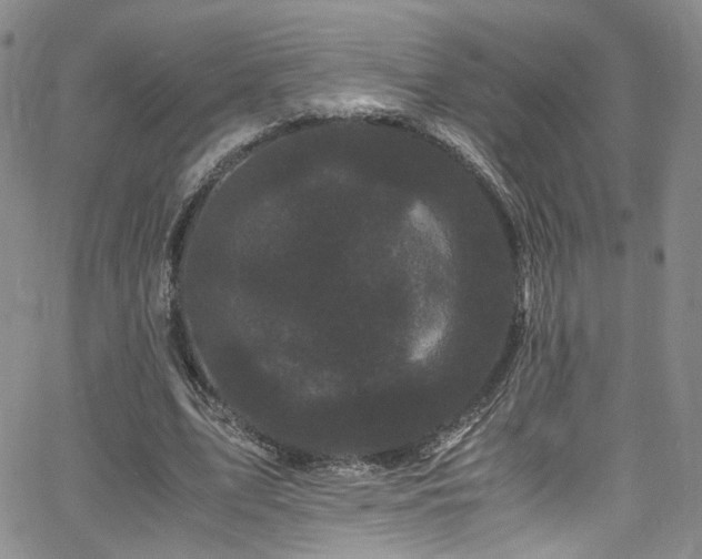 X0000062630583200512211231